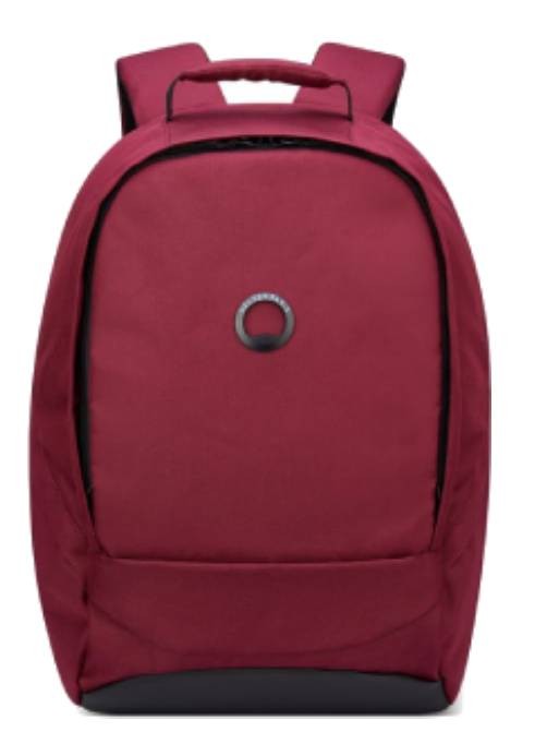 DELSEY Mochila Securban 13.3"